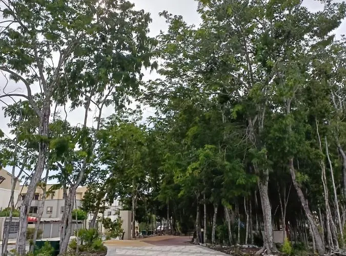 Apartment Charming Hoestel Reiden! Playa del Carmen
